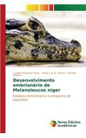 Desenvolvimento embrionário de Melanoleucos niger