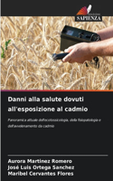 Danni alla salute dovuti all'esposizione al cadmio