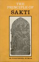 The Principal Of Shakti