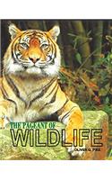 The Pageant of Wildlife