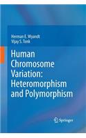 Human Chromosome Variation: Heteromorphism and Polymorphism