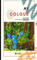 My kids colour book