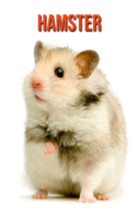 Hamster