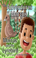 Adventures of Marcus