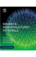 Magnetic Nanostructured Materials