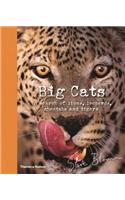 Big Cats