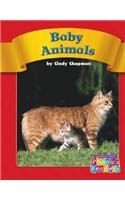 Baby Animals