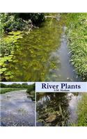 River Plants
