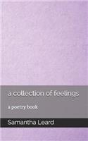 collection of feelings