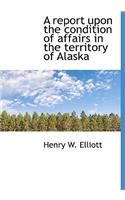 A Report Upon the Condition of Affairs in the Territory of Alaska