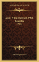 A New White Bear, From British Columbia (1905)