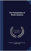 Pselaphidae of North America