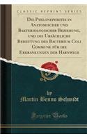 Die Pyelonephritis in Anatomischer Und Bakteriologischer Beziehung, Und Die Ursï¿½chliche Bedeutung Des Bacterium Coli Commune Fï¿½r Die Erkrankungen Der Harnwege (Classic Reprint)