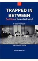 Trapped in Between: Realities of the Project World(English)