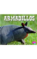 Armadillos