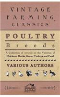 Poultry Breeds - A Collection of Articles on the Varieties of Chickens, Ducks, Geese, Turkeys and Fowl