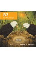 B3 the Adult Eagle