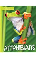 Amphibians