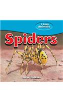 Spiders: (I Love Animals)
