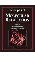 Principles of Molecular Regulation