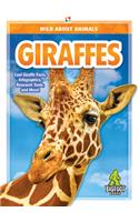 Giraffes
