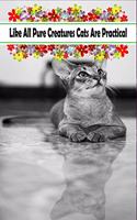 Like All Pure Creatures Cats Are Practical