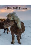 2020-2021 Planner