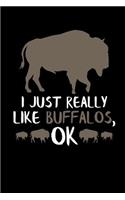 I Just Really Like Buffalos, Ok