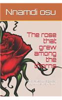 The rose that grew among the thorns