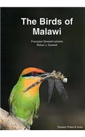 Birds of Malawi