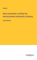 Ueber das Bestehen und Wirken der naturforschenden Gesellschaft zu Bamberg: Vierter Bericht