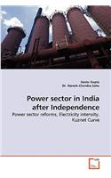 Power Sector in India After Independence