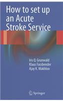 How to Set Up an Acute Stroke Service
