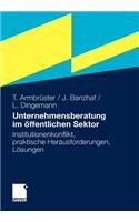 Unternehmensberatung Im Öffentlichen Sektor