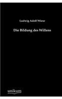 Bildung des Willens