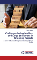 Challenges facing Medium and Large Enterprises in Financing Projects