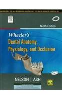 Wheeler'S Dental Anatomy, Physiology and Occlusion