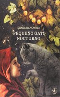 Pequeno gato nocturno / Little Night Cat