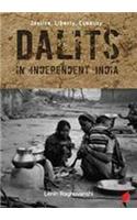 Justice Liberty Equality Dalits in Independent India