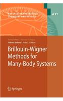 Brillouin-Wigner Methods for Many-Body Systems