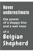 Never underestimate the power of a sloppy kiss and a wet nose of a Belgian Shepherd