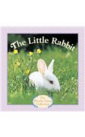 The Little Rabbit