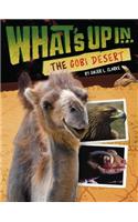What's Up in the Gobi Desert