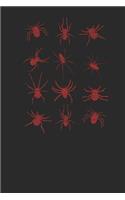 Spider Collection