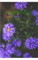 Gratitude Journal