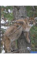 Mountain Lion In A Tree: Notebook, Diary, Journal, Planner 8.5x11 inches (21.59cm x 27.94cm)