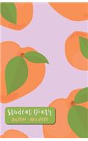 Student Diary Jul 2019 - Dec 2020: 18 Month Mid-Year Agenda, Academic Planner / JULY 2019 - DECEMBER 2020 / yearly, monthly & weekly calendars, schedule, space to write, to-do ... / M