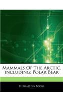 Articles on Mammals of the Arctic, Including: Polar Bear