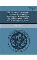 The Calcineurin Connection: Regulator of Calmodulin Signaling (RCS) and Nuclear Factor of Activated T-Cells (Nfat) in Rodent Striatum