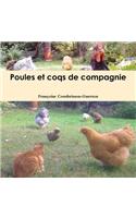 Poules Et Coqs De Compagnie